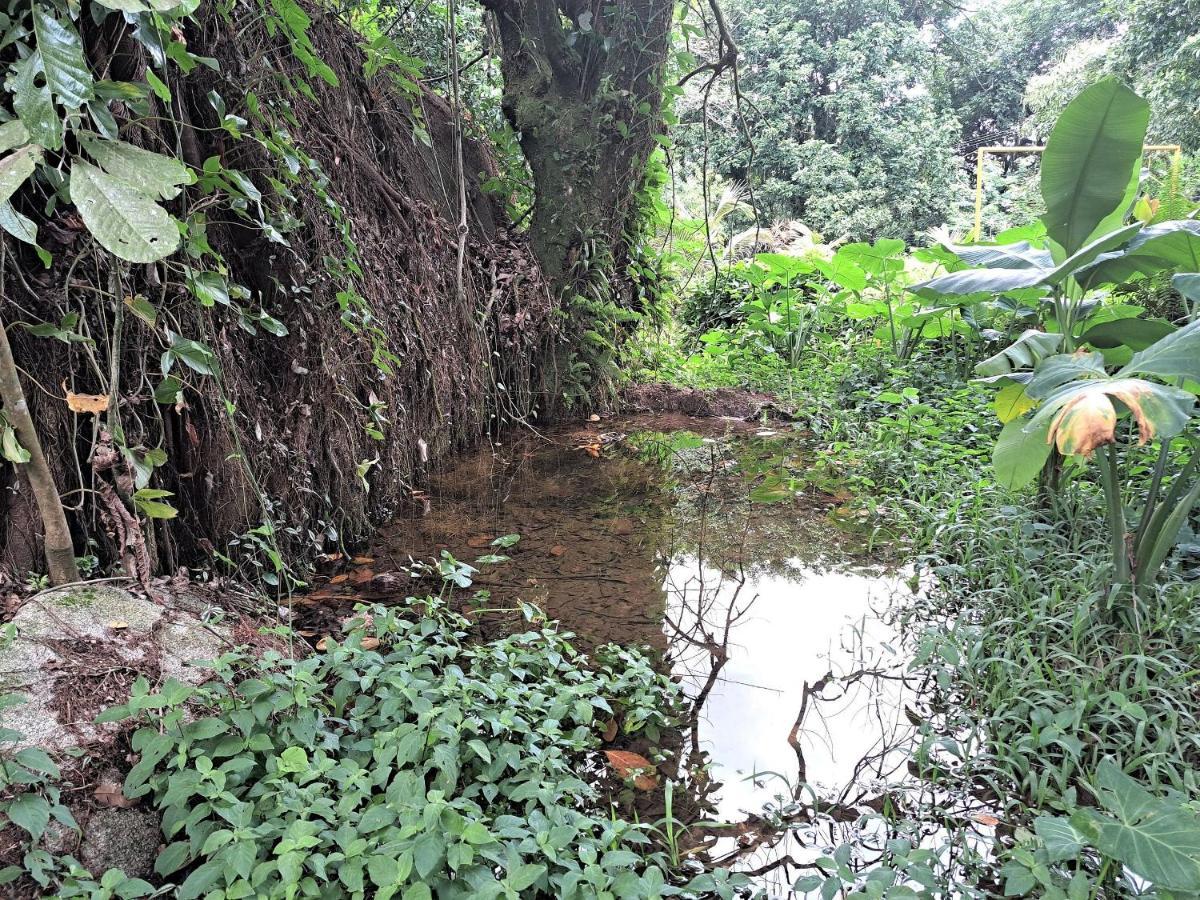 Paradisiaco, Piscina E Churrasqueira Em Guapimirim Exterior photo
