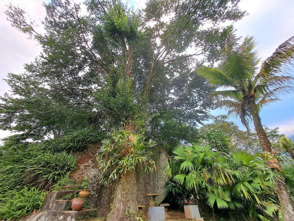 Paradisiaco, Piscina E Churrasqueira Em Guapimirim Exterior photo